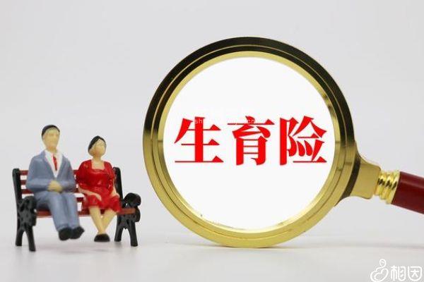 不懂生四胎社保的生育險(xiǎn)能否報(bào)銷(xiāo)請(qǐng)進(jìn)，每一流程這都有