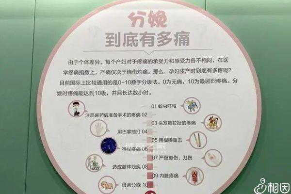 2024重慶分娩體驗(yàn)館多少錢一次解密，想造哪里有瞅這