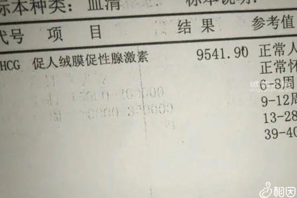 詳訴移植后孕吐是什么原因造成的，有沒有懷孕別還不知道