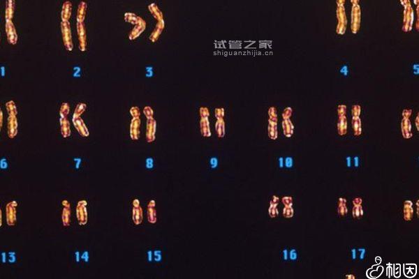 速覽三代試管移植生化要不要查免疫，有啥好處立馬get