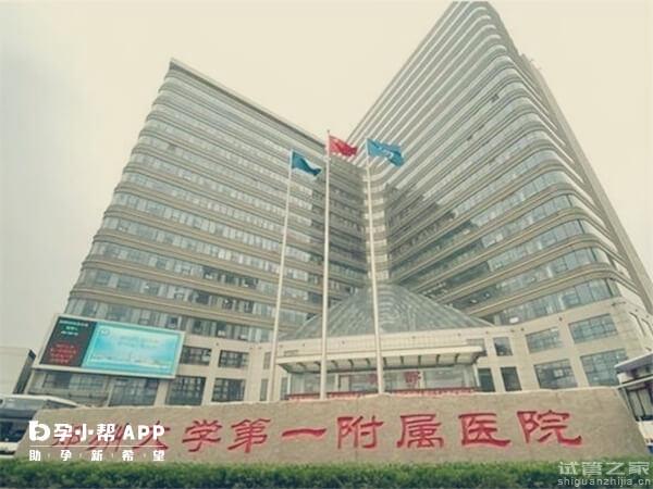 2024鄭大一附院供卵試管嬰兒步驟說明：身體檢查很重要