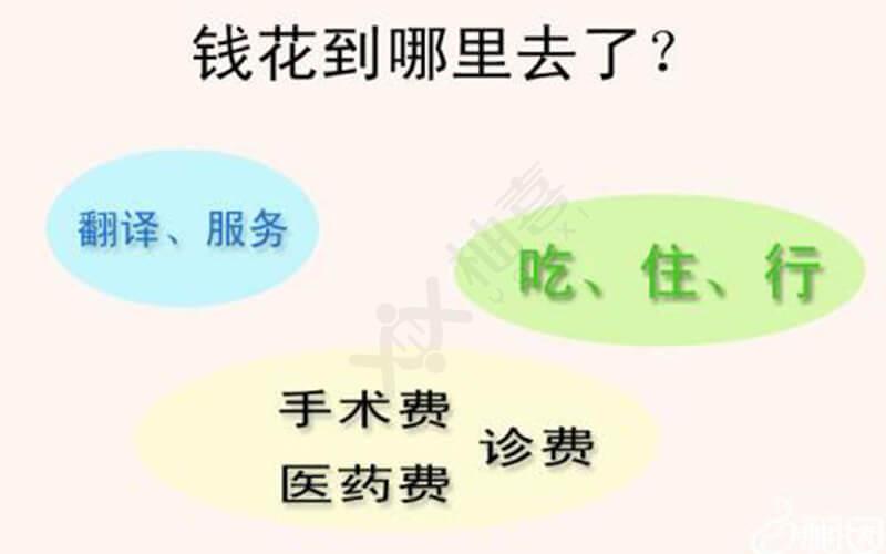 費用最低6萬起!警惕馬來西亞試管嬰兒中介亂報價