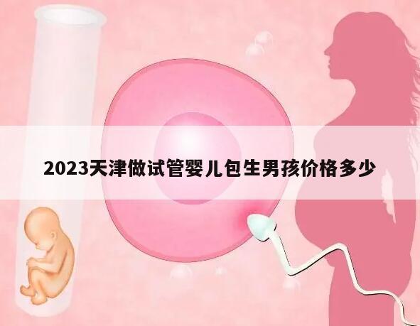 2023天津做試管嬰兒包生男孩價格多少