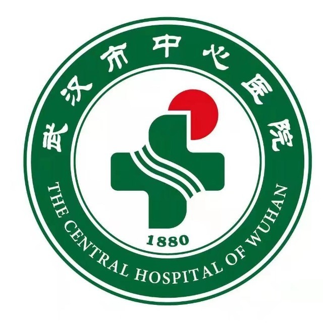 武漢市中心醫(yī)院logo