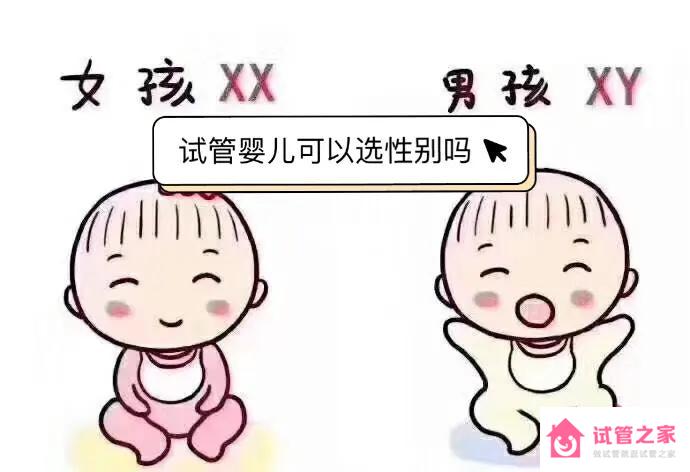 做試管嬰兒能決定孩子的性別嗎