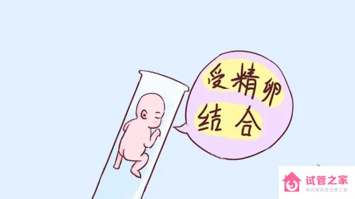 試管嬰兒