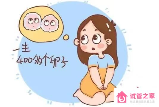 女性一生有400多個(gè)*子排出