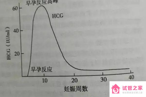 HCG峰值時間