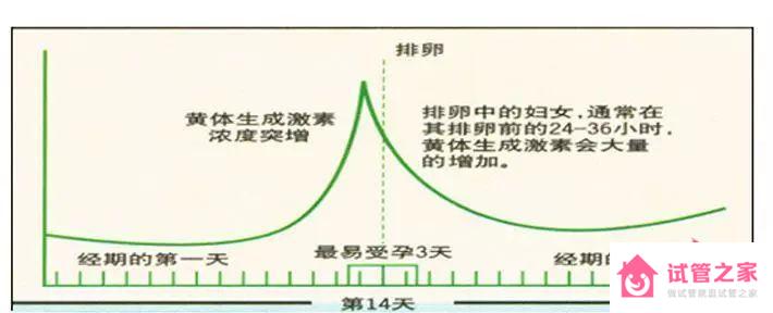 促黃體生成素偏低有哪些危害