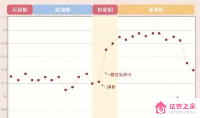 月經(jīng)干凈幾天懷孕率最高