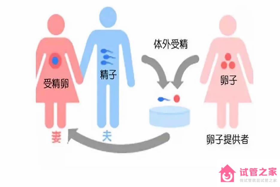 借*試管出生的孩子有生母的遺傳基因嗎？專家解析借*生子是否算親生的 ...