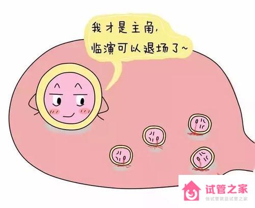 生長(zhǎng)激素對(duì)*泡的作用是什么