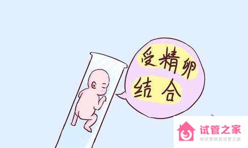 二胎想做試管嬰兒男孩可以嗎