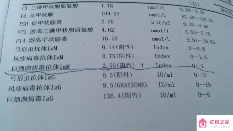 檢查出巨細(xì)胞病毒igm陽(yáng)性可以懷孕嗎