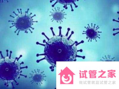 淺談hiv輔助生殖要多少錢(qián)一個(gè)周期