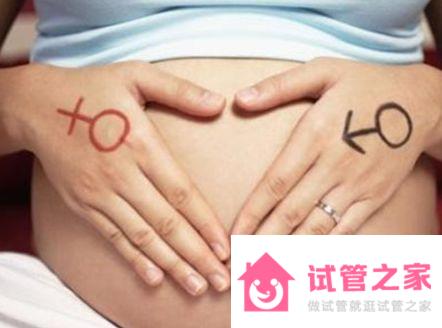 試管嬰兒的男女性別比例到底是多少呢？