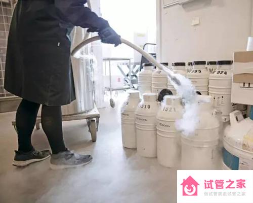 丹麥Cryos精子庫5問5答，寄送、收貨疑問全方位解答