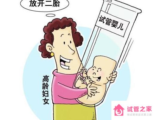 試管嬰兒適合高齡女性嗎