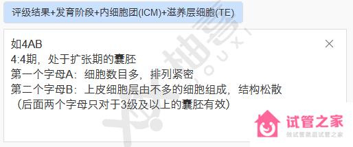 4ab囊胚等級(jí)評(píng)估，質(zhì)量、移植成功率一文講通