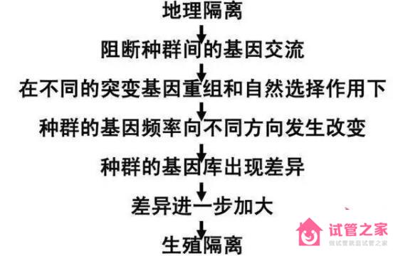 生殖隔離是什么意思