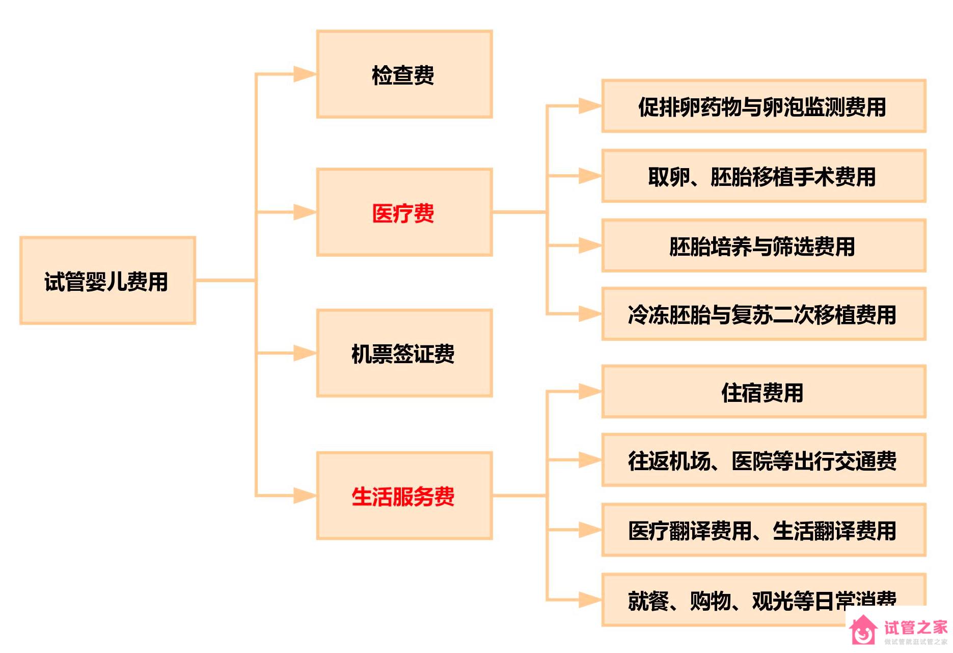 為什么泰國試管嬰兒費用因人而異？