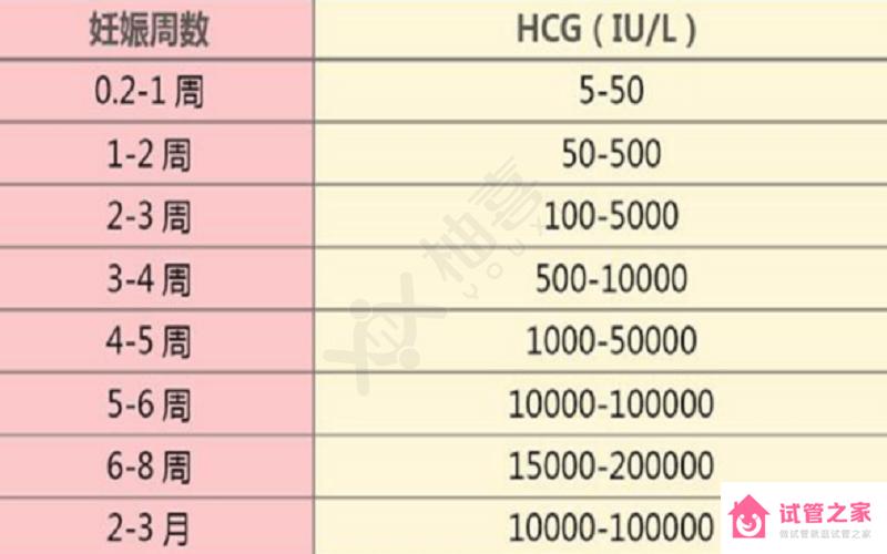 星媽樸恩惠生雙胞胎，兒子萌照大曝光