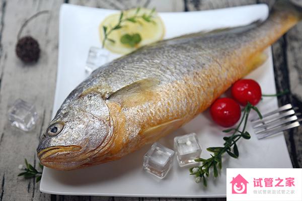 這5種海魚(yú)孕期吃公認(rèn)最好，淡水or深海魚(yú)均可食用