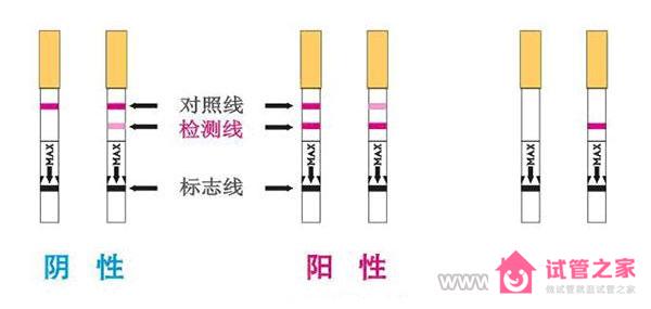 四個(gè)方法測懷孕準(zhǔn)爆了！其實(shí)不用試紙也能自測懷孕