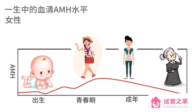 AMH值低，是自懷還是直接做試管呢？