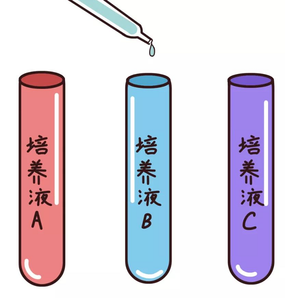 揭秘胚胎寶寶的家（上）