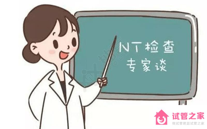 nt檢查最佳時間要記牢！超過14周再做可就沒有意義了