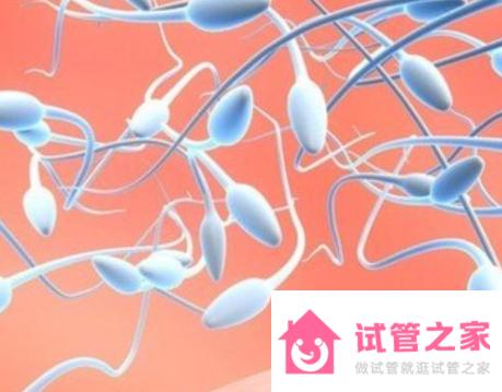 三甲醫(yī)院可以查男性精子xy的比例嗎？