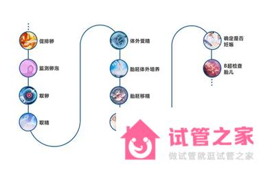 試管長方案要多久才能移植?