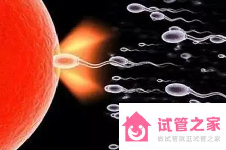 女性怎么讓精子陰道排出體外