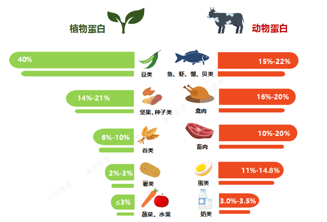 試管嬰兒治療期間為什么要補(bǔ)充蛋白質(zhì)？