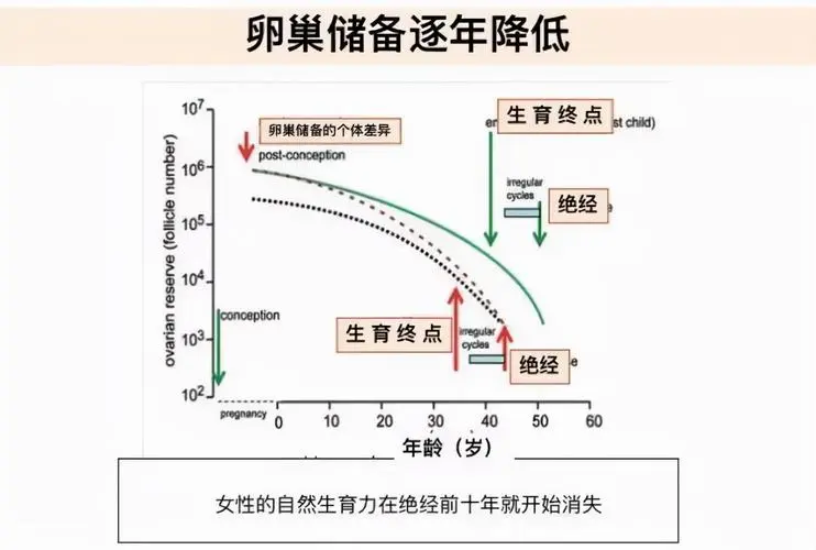 *巢儲(chǔ)備功能減退有沒(méi)有可能通過(guò)試管嬰兒成功促排取*？