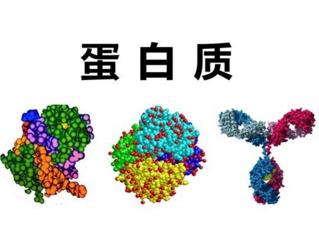 泰國試管嬰兒攻略，如何調理準備？