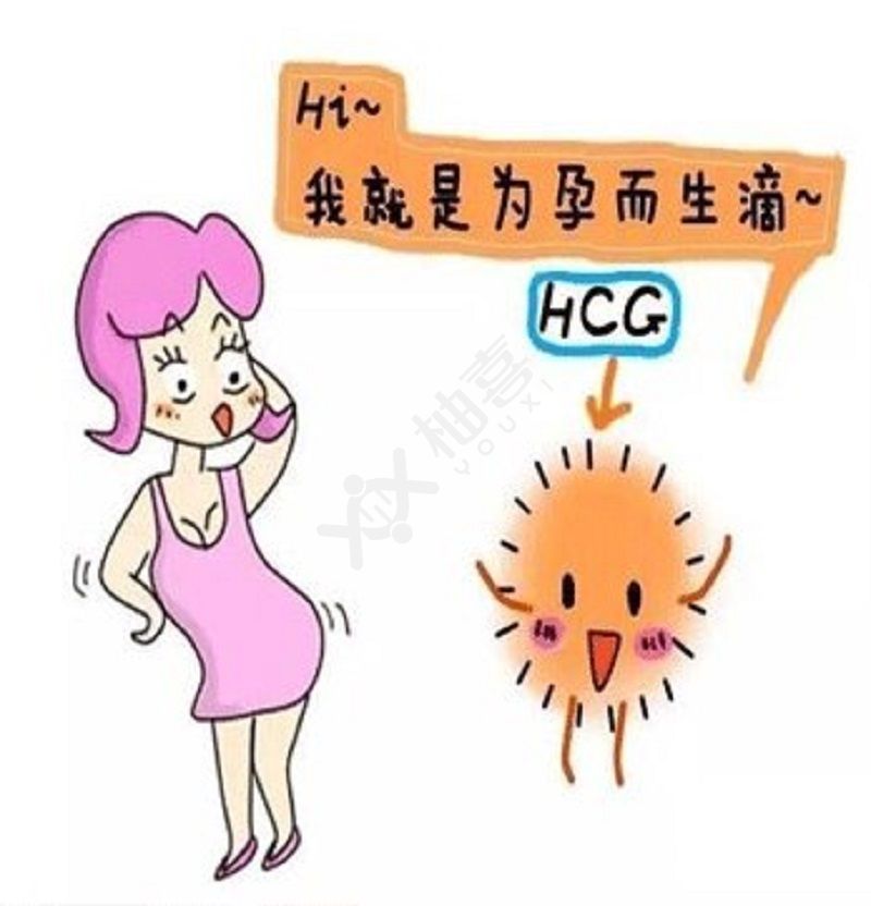 hcg值暗示你懷孕，最新的參考值出爐了