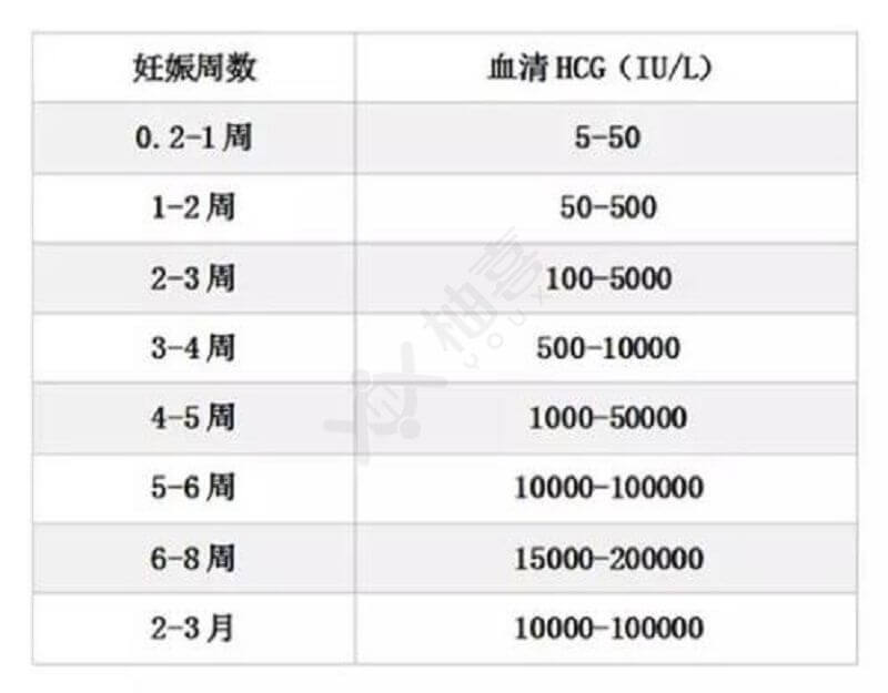 hcg值暗示你懷孕，最新的參考值出爐了