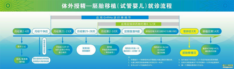 試管嬰兒流程與注意事項，從建檔到保胎流程詳解