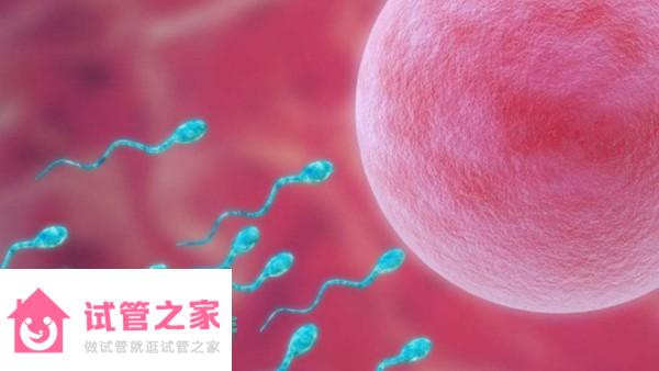 2023高齡女性申請供*試管排隊(duì)時間公布，附供*試管費(fèi)用詳情 ...