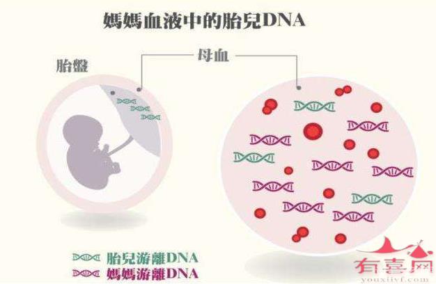 香港為什么可以檢測胎兒性別