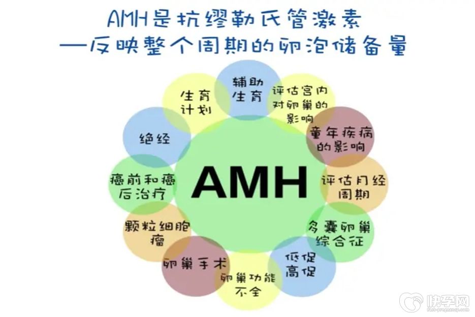 AMH0.01是沒有生育能力了嗎？生殖專家教你成功逆襲