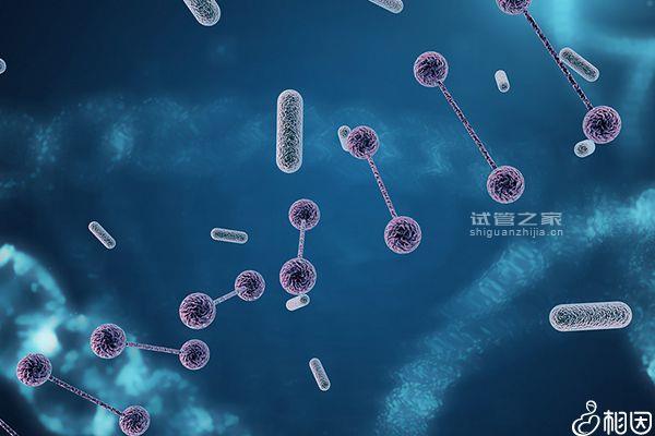 貴州地中海貧血的概率真不低，5%的貴陽人都攜帶要注意