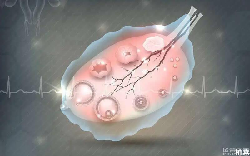 卵泡發(fā)育不好調理有方法，4大食物能讓卵泡越來越成熟