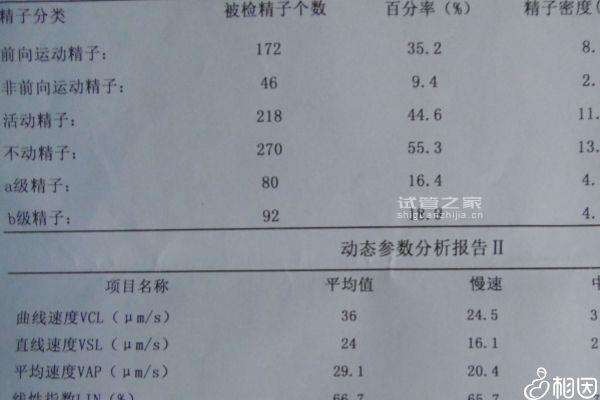 A級精子向前運動12會不會影響懷孕揭秘，≤14%或是不育