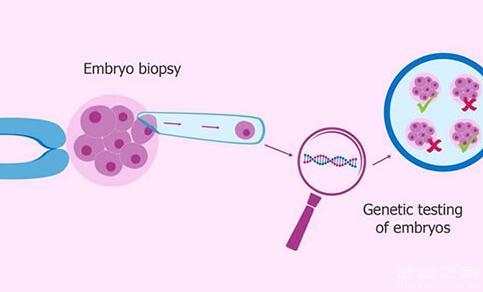 試管一代二代三代選男孩有什么區(qū)別費(fèi)用多少錢？