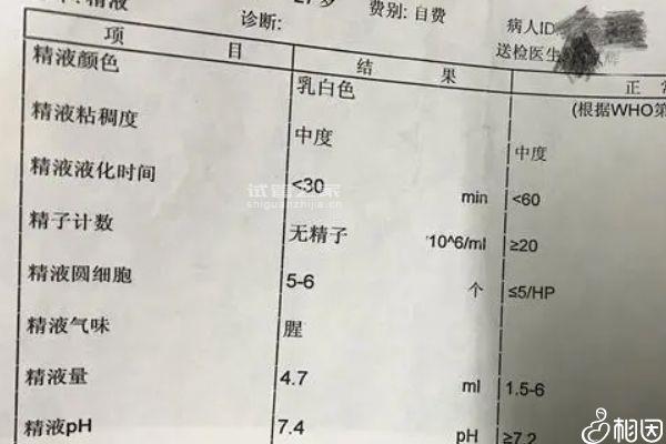 不知做試管老公不配合怎么辦看這，能否找人供精一文說清