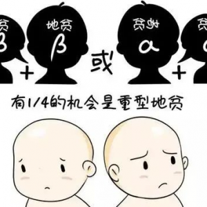 地中海貧血通過第三*試管嬰兒技術(shù)可以篩查掉嗎？